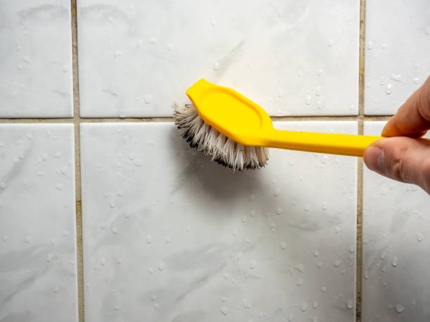 Best Attic Mold Removal  in Emory, VA