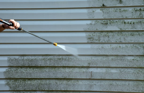 Best Mold Cleaning Services  in Emory, VA