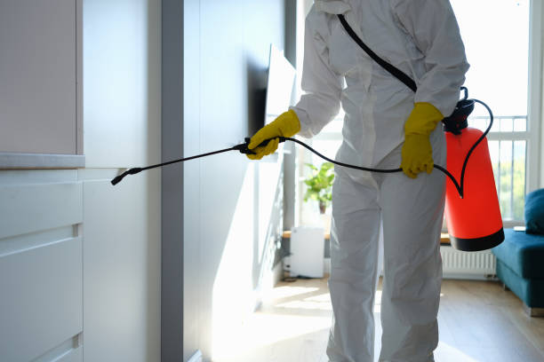 Best Commercial Mold Removal  in Emory, VA