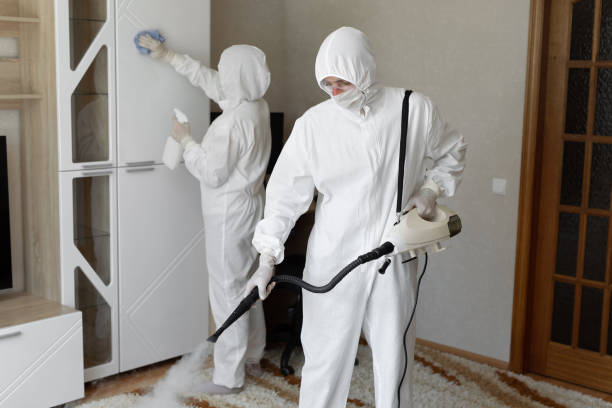 Best Toxic Mold Removal  in Emory, VA
